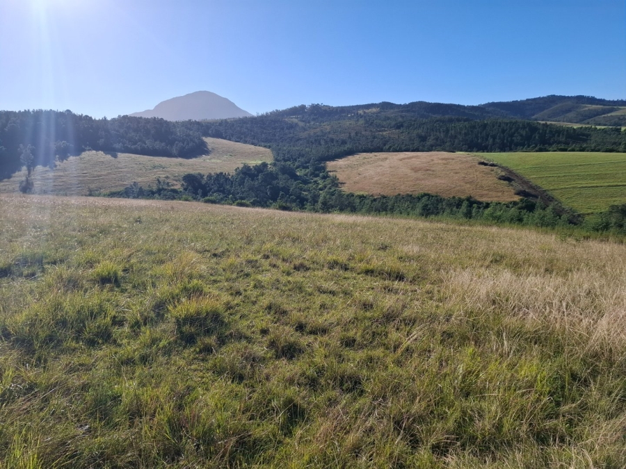 6 Bedroom Property for Sale in Riversdale Rural Western Cape